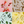 The Taste Teaser - 8 Pack (2 of each flavour)